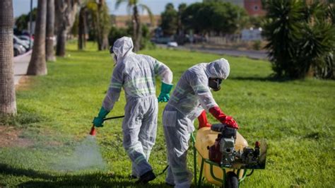 España notifica 95 casos de infección del virus del nilo .
